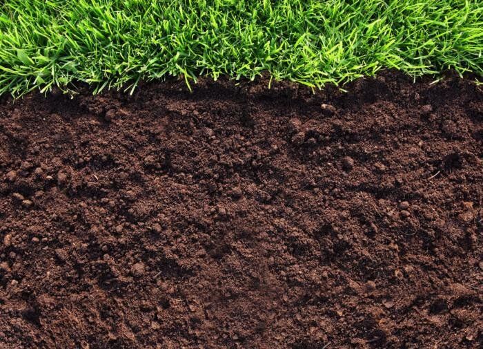 Как добиться идеальной вспашки: секреты и советы для успешной работы с землей