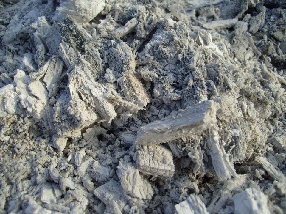 Секреты использования угольной золы в саду