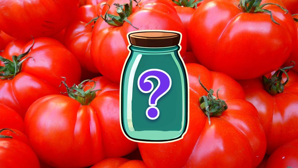 Эти маринованные помидоры даже в погреб не успеете убрать: съедят моментально