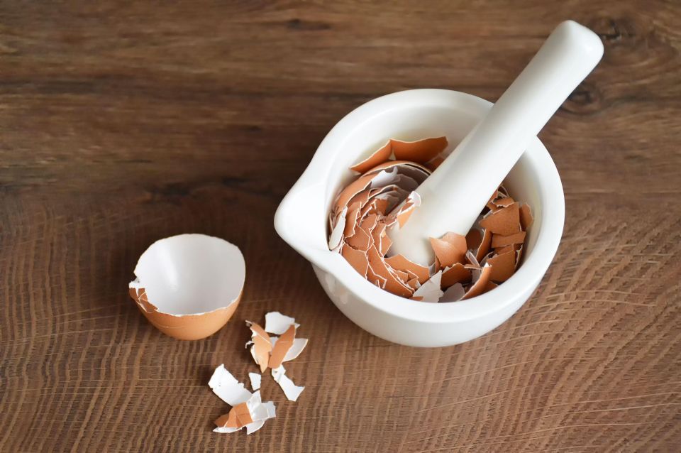 Не выбрасывайте яичную скорлупу: с ней вам никакой сантехник не нужен