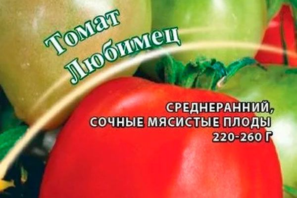 Как добиться щедрого урожая помидоров Любимец: секреты и советы