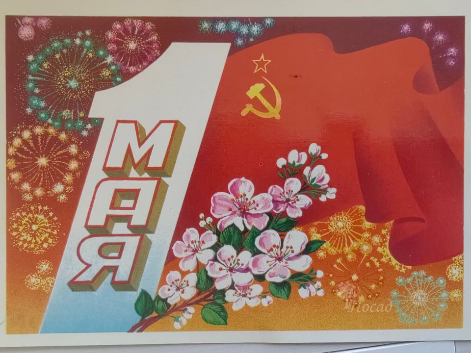 Цветочная симфония на даче: что удивило весной 2025 года