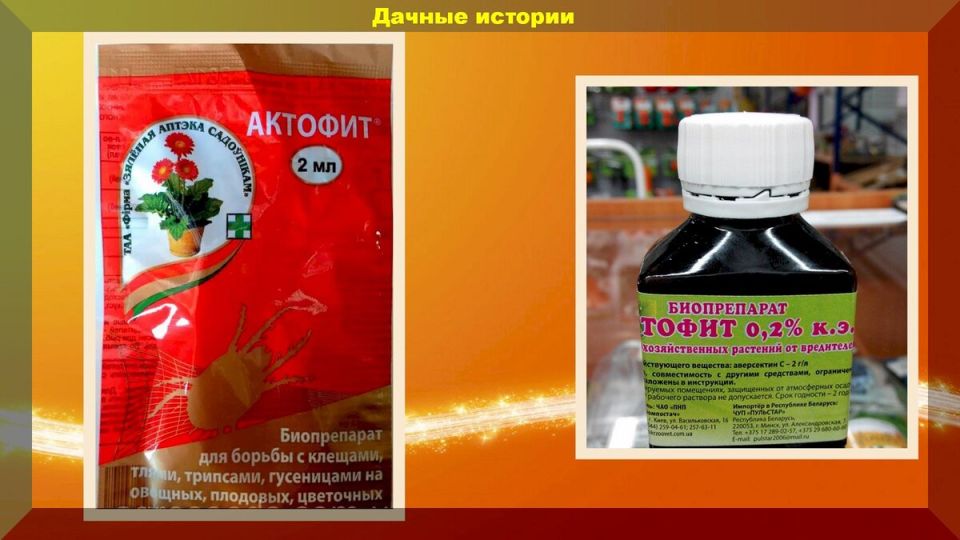 Как «Актофит» стал надежным защитником вашего сада от вредителей