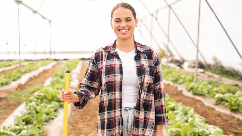 Срочно уберите это из теплицы перед приходом холодов: иначе летом урожая не дождетесь