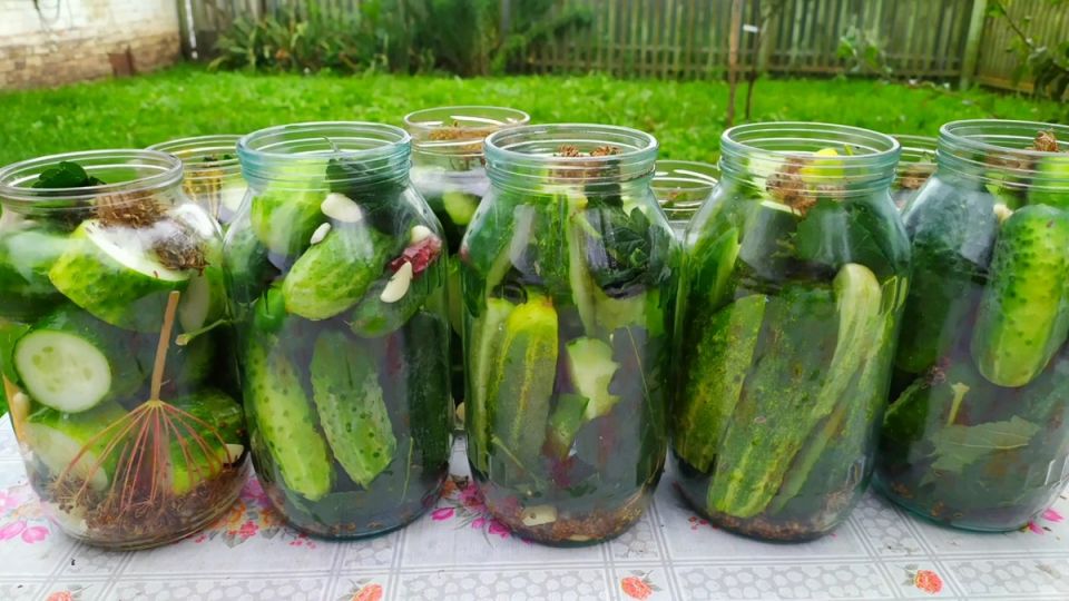 Маринованные огурцы: секреты хрустящей консервировки