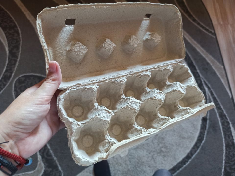 Необычные решения для хранения урожая: как лотки от яиц могут спасти ваш погреб