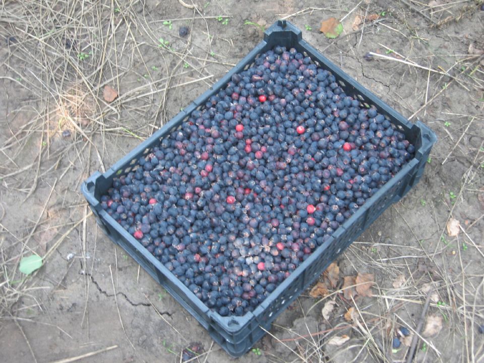 ����: ������� ��������� � ������������� ����������