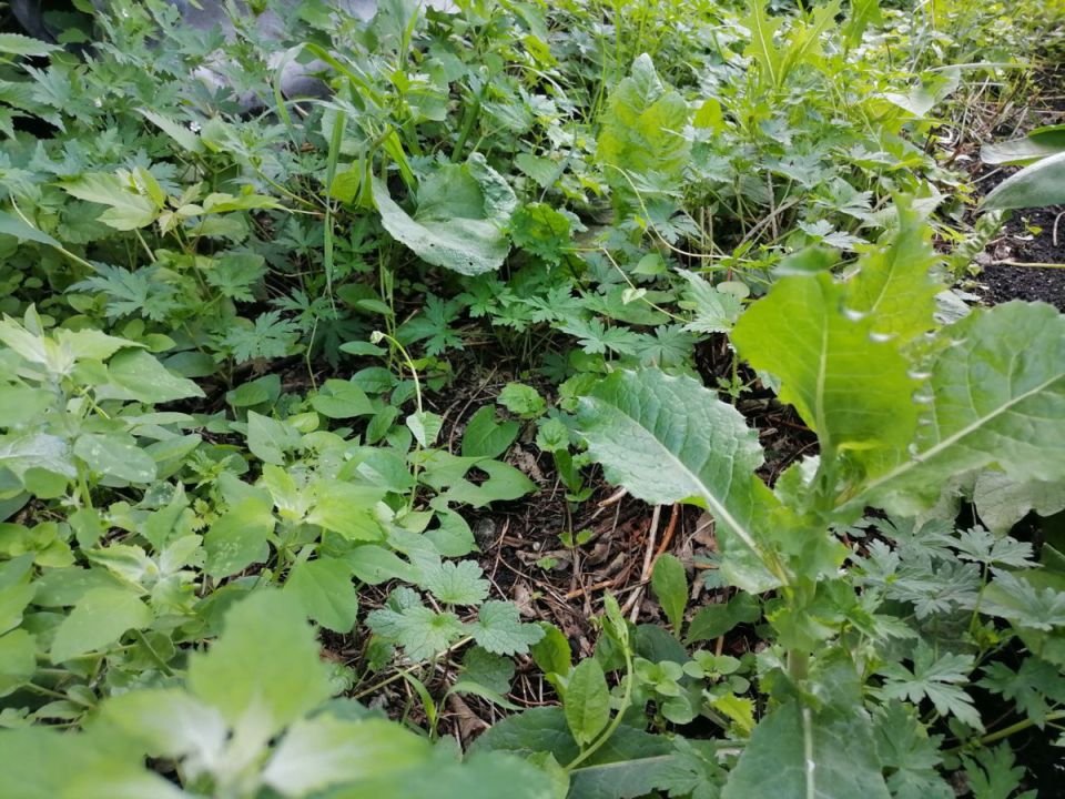 ��� ���������� �� �������� � �������: ��������� ���� ��� ������ ������� �������