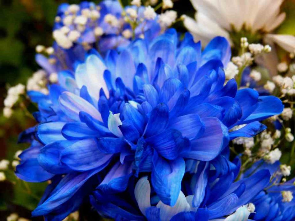 ���-�����: ����� ����� ����� ������������� �������