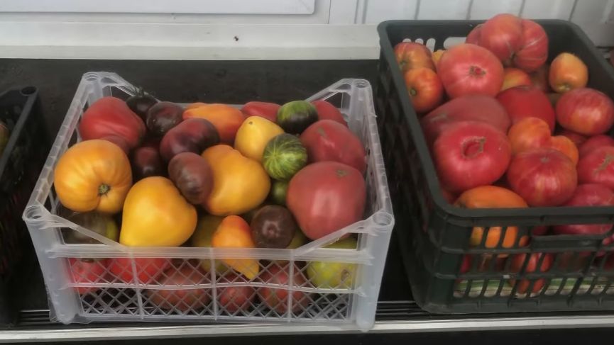 ��� ��������� � ����������� �������: ����������� ������� ������