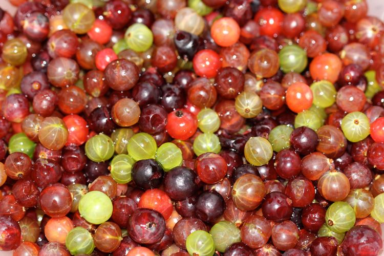 ����������� ����������: ������� ������� ������������� ����� �� ����� �����