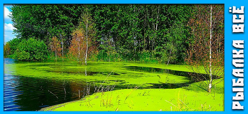 ��� ���������� �� ������ ���� � ����: 8 ����������� ��������