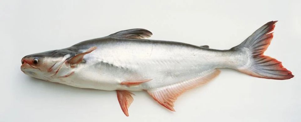 ������� ������� ���������: ����� ���� ����� ��������