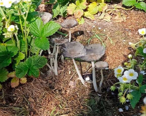 ����� �� ������ �������: �������� ����� ��� ����� ��� ������������?