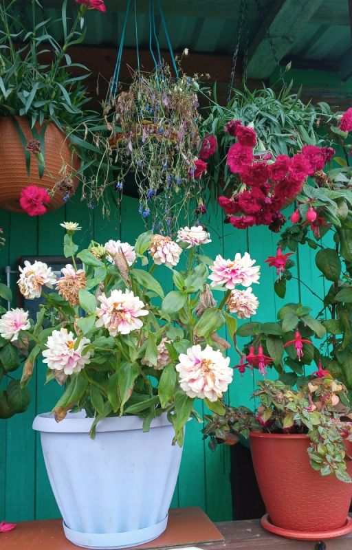 ��� ��������� ���� ��� ����: ����� � ������� � ���������� �������