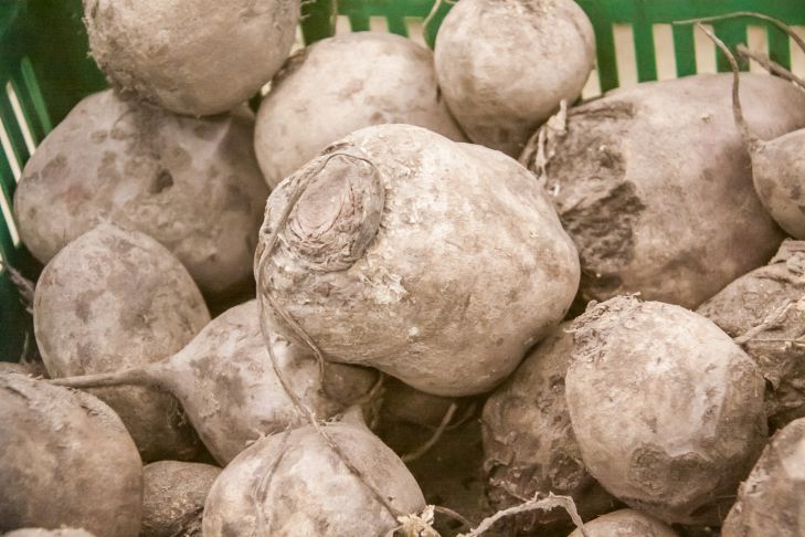 "���������� � ������ ������": ��� ����������� ���������� ���� � ������� �������