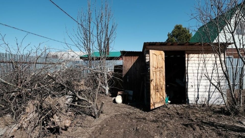 ��� ������������ ���������� ����������� ����� ���� � ����� �����