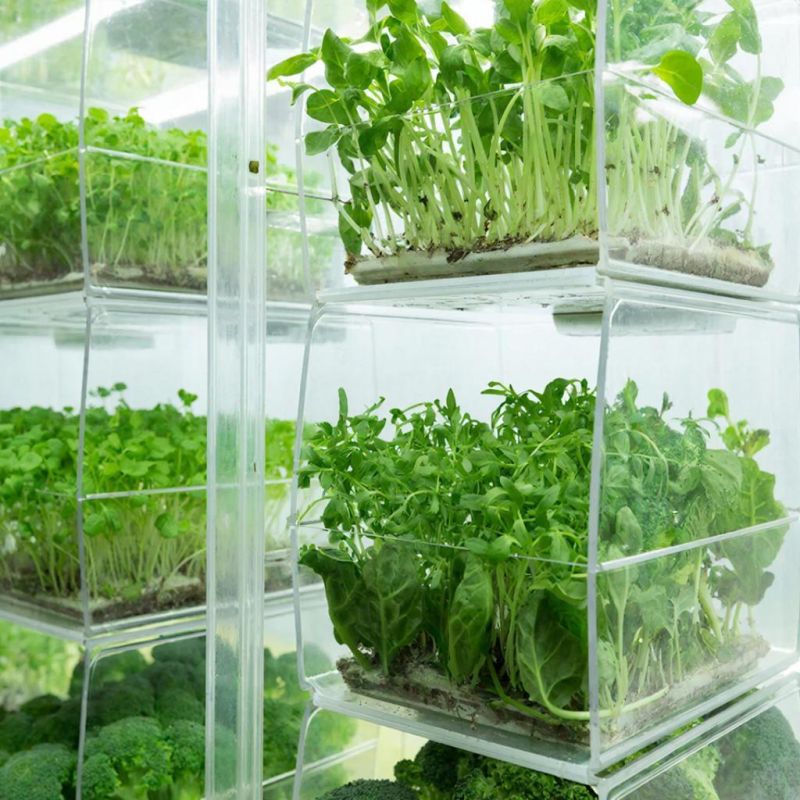 ������������ ����� ��� �����������: ��� ������� ���� ������� ��� ������������ ������