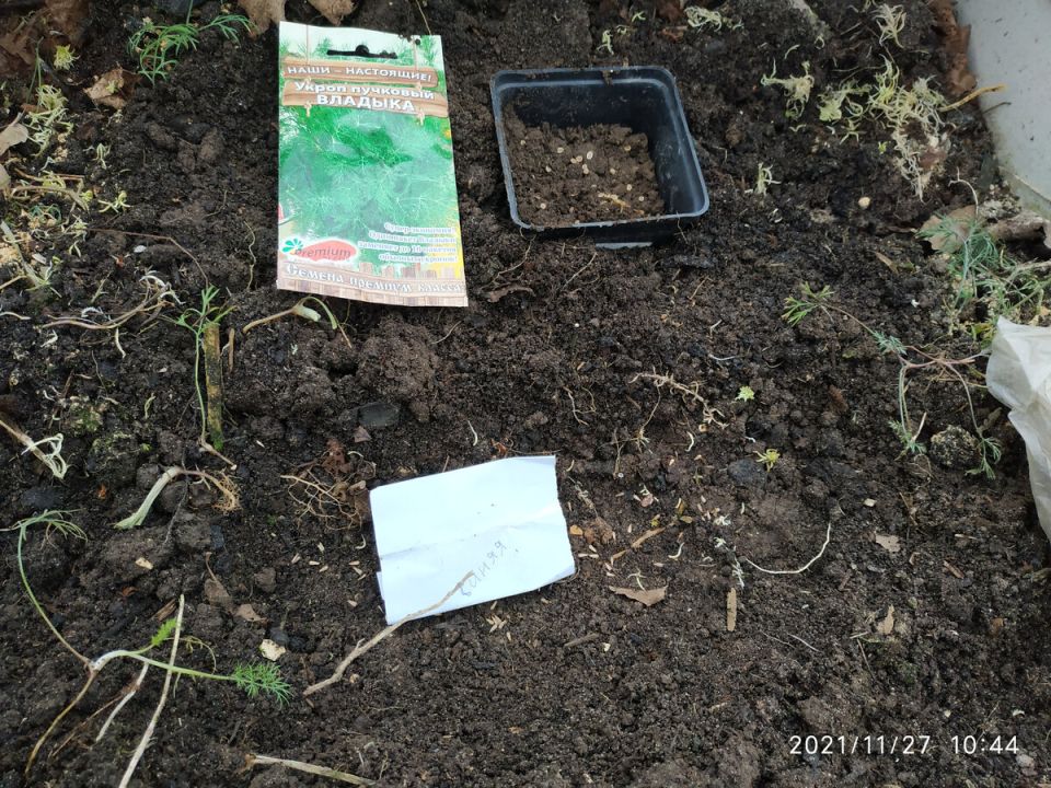 ��������� ������� ������ � ����: ��� �������� ������ ������