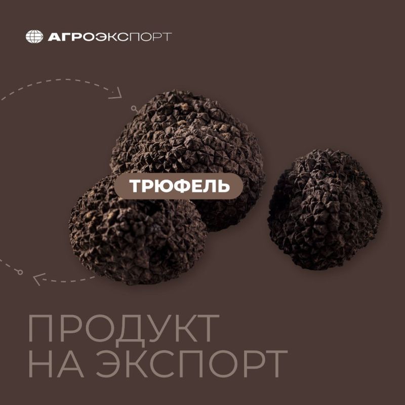 �������: ����� ���������� ���������� ���?