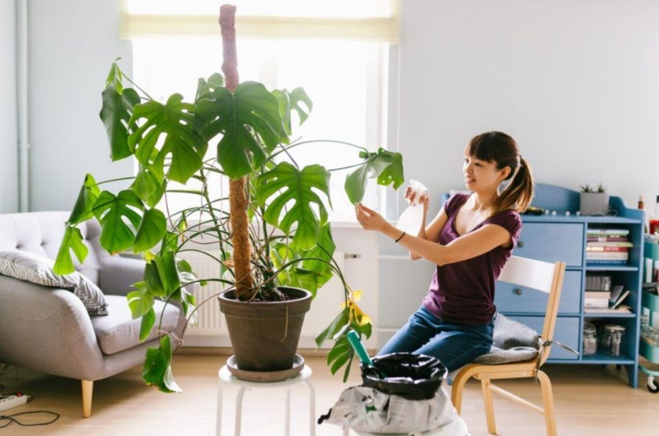 ������ �������� ���������: ��� ������� ������������ ������ ����������