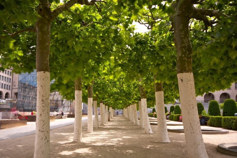 ������ ������� �������� ������� ���������� � 2026 ����?