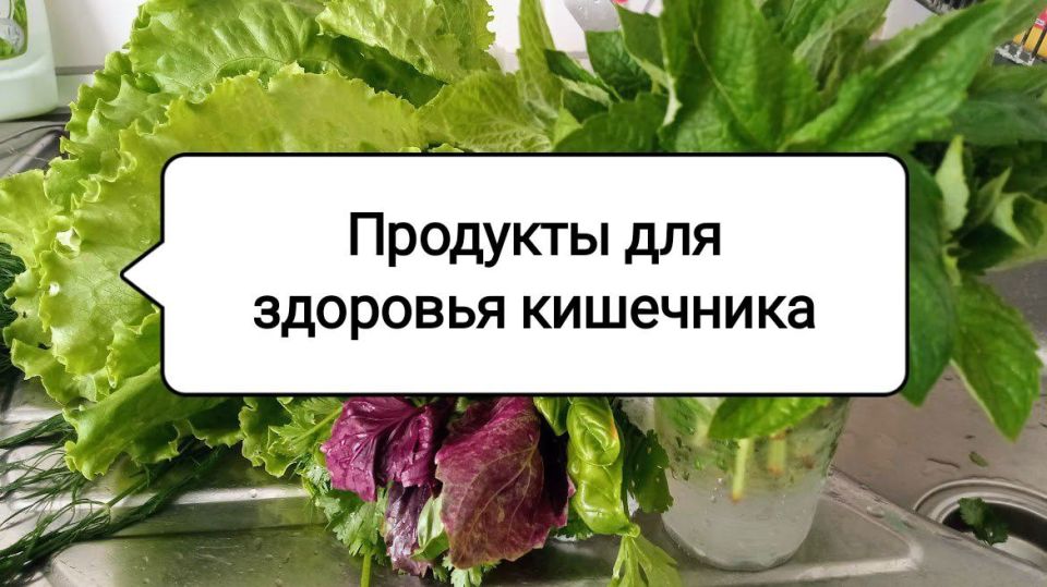 ��� ����� �������� ������ ���������: ������� ��� �������� ����������