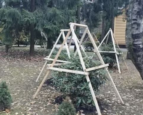 ��� ������� �������� ������� ��� �������� ������ ������