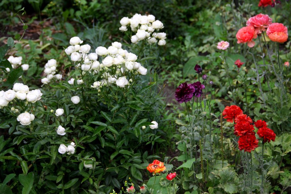 ����� ������������� ���: ����� ����� �������� ��� ������