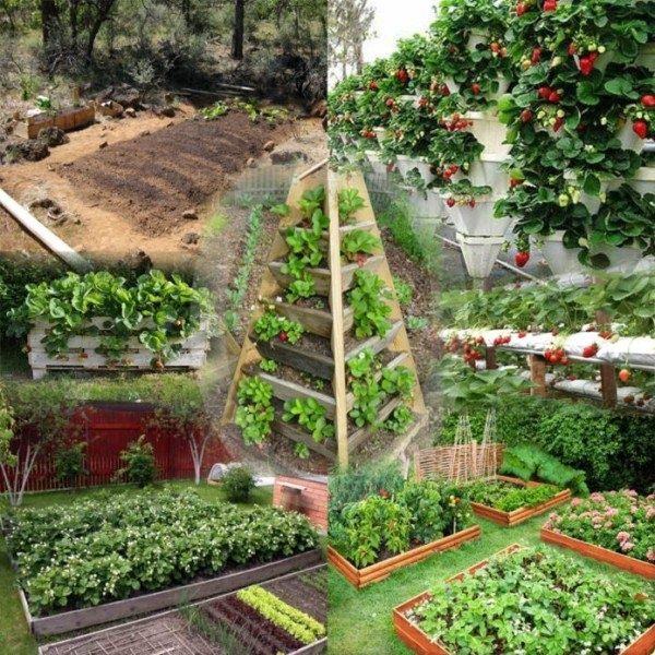 ��� ��������� ������ ��������: ������ ��� ���������