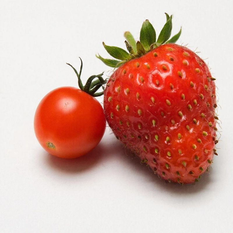 ����� ��������: ��� ����� �������� ���� ��������� �����