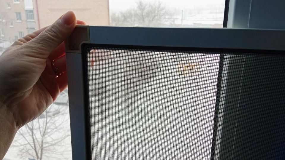 ������ ��������� ��������� ����� ����� ����� ���� ����������?