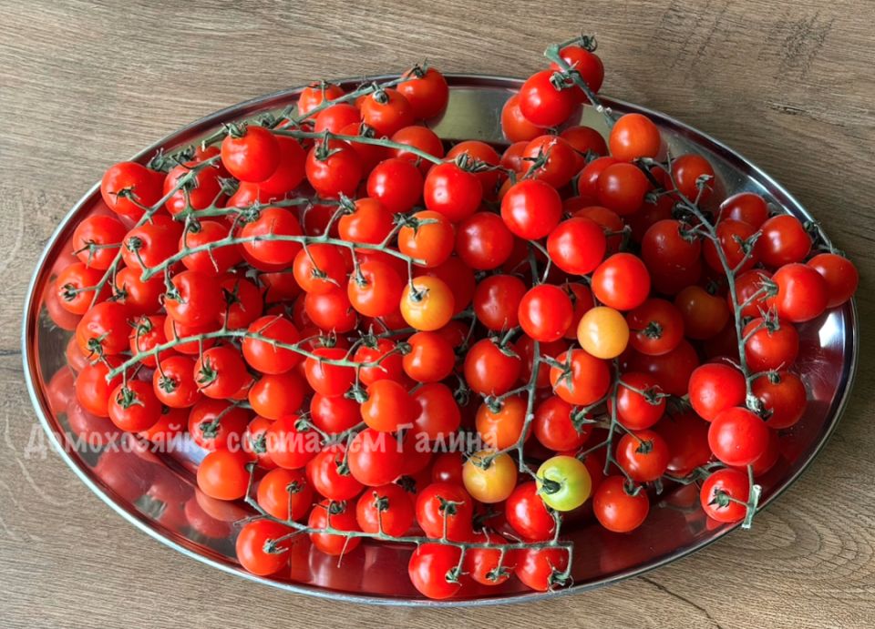 ��������� �������� �����, �������������� � ����������