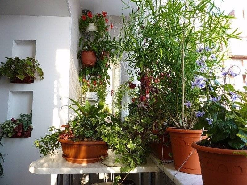 ������ ������ ��� ����������: ��� ��������� ��������� �������� � ����