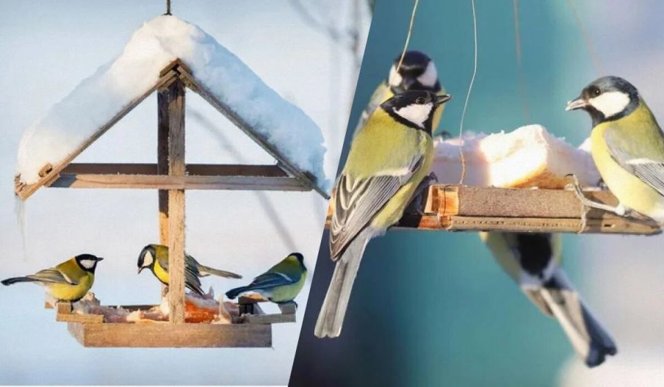 ��� ����� � �� ����� ������ � �������� ��� ���� �����