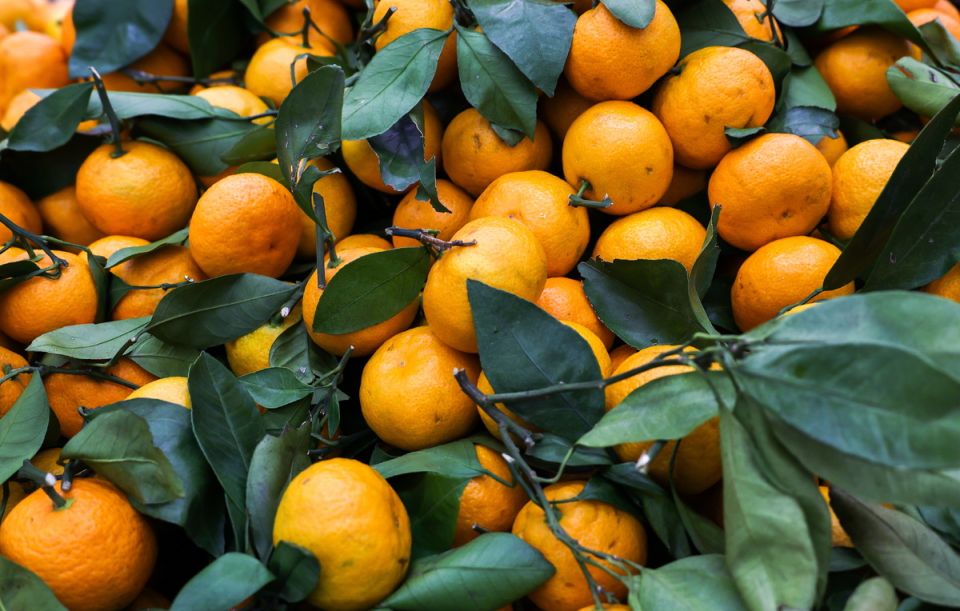 ������������ �������������: ��� ������� ������������ ������� � ��� ��� �������