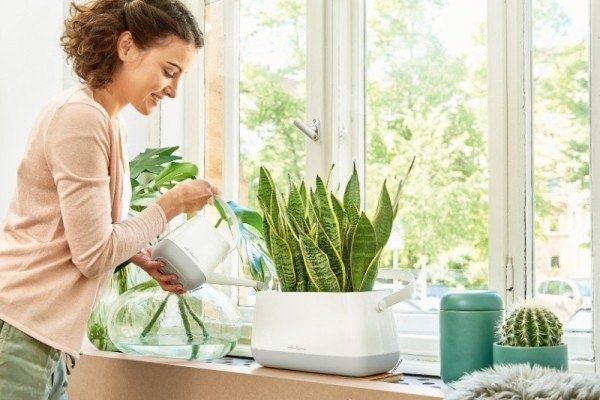 ��� ������ ������� ����� ��������: ��������� ����� �����