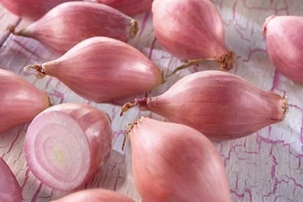 Рассматривая лук Россана: простой взгляд на урожай и хранение