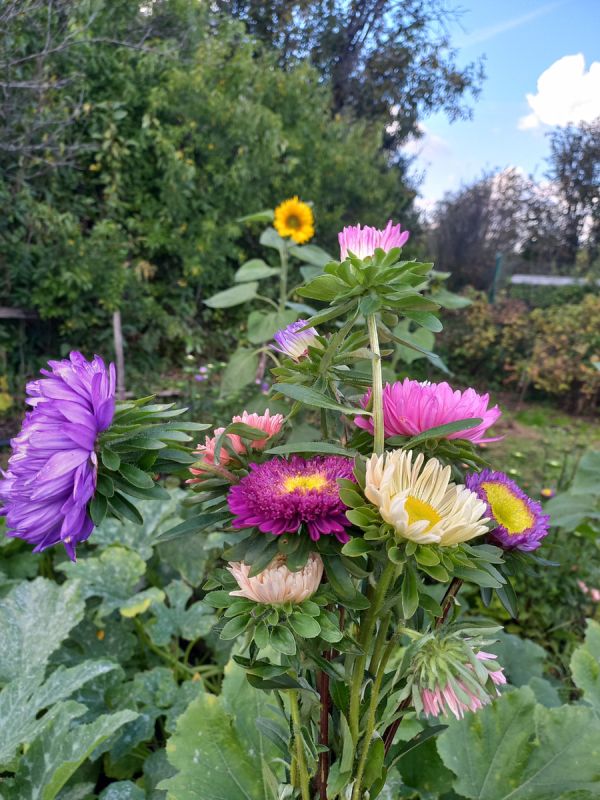 ������� ������������� ������ � ������� �����, ������� �������� ����� �� �����