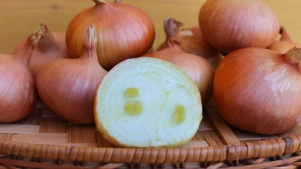 Как семейный лук меняет экономику дачи и упрощает садоводство