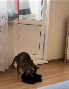 ,    ,   