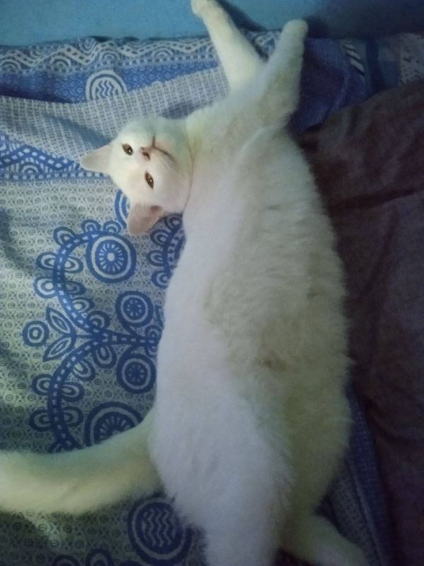  , ! ,      :