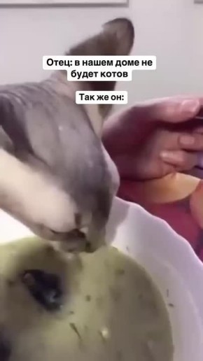 ,      (,   )