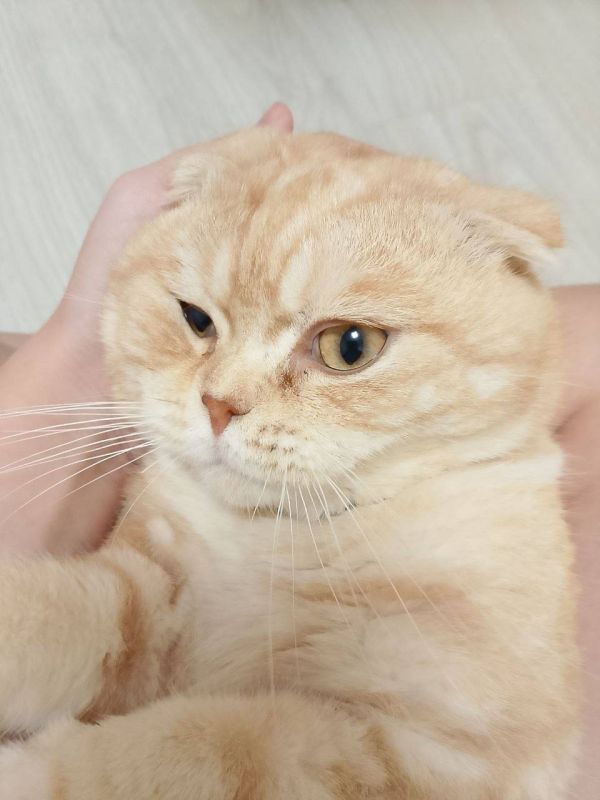  , !   5 :