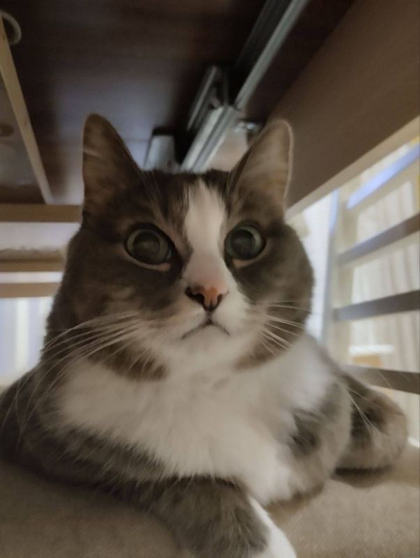  , !   5 :