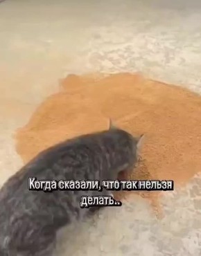     !   