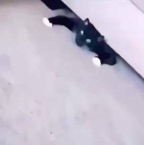!   