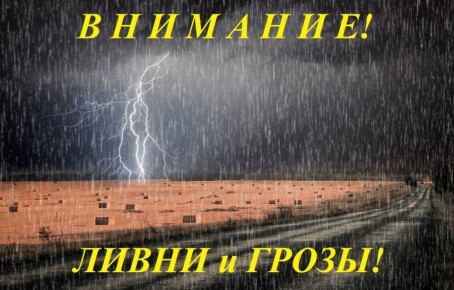       10  12  2025        :  ,     ,     ...