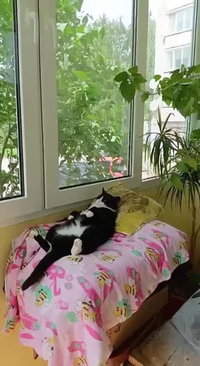 С добрым утром воскресенья!