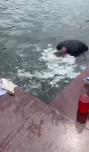  ,     :        